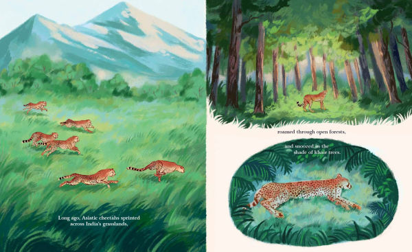 Cheetahs Return to India: The True Story of Aasha and Pavan