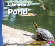 Title: Life in a Pond, Author: Carol K. Lindeen