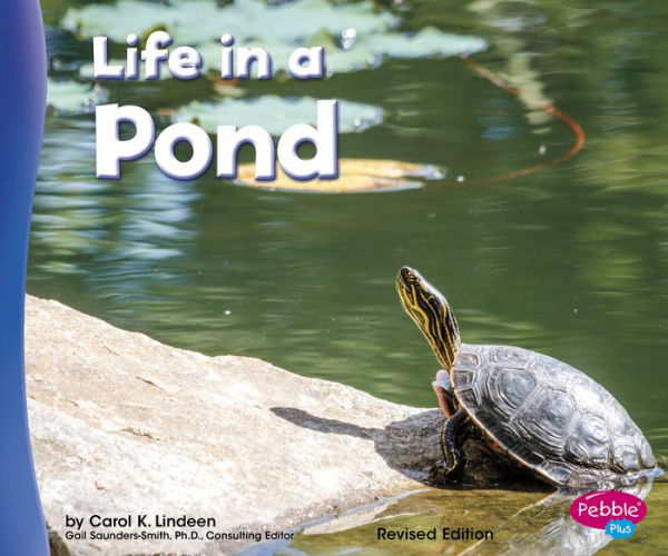 Life in a Pond