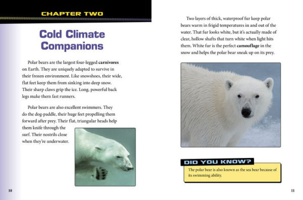 Polar Bears and Arctic Foxes Team Up!