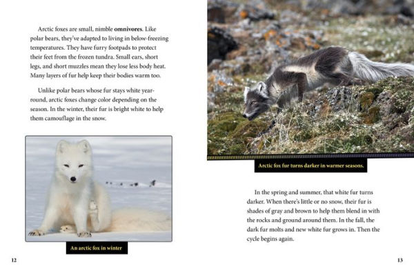 Polar Bears and Arctic Foxes Team Up!