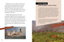 Alternative view 3 of Wildfires and the Environment