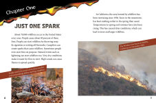 Alternative view 4 of Wildfires and the Environment