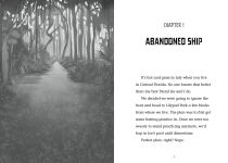 Alternative view 2 of Lost in Saskachoo Swamp
