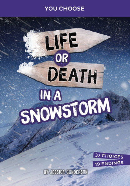 Life or Death a Snowstorm: An Interactive Survival Adventure