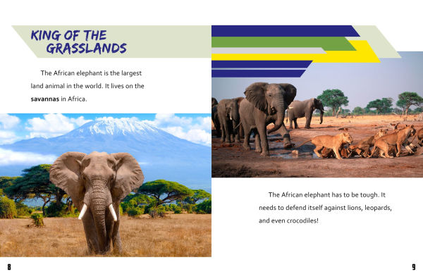 African Elephant vs. Woolly Mammoth