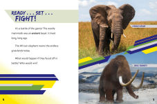 Alternative view 4 of African Elephant vs. Woolly Mammoth