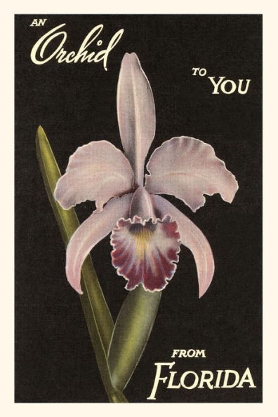 Vintage Journal Orchid from Florida
