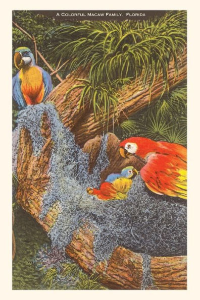 Vintage Journal Macaws, Florida