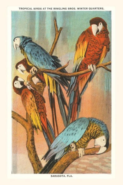 Vintage Journal Macaws, Sarasota, Florida