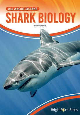 Shark Biology