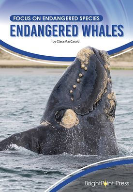 Endangered Whales