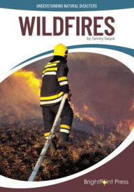 Title: Wildfires, Author: Tammy Gagne