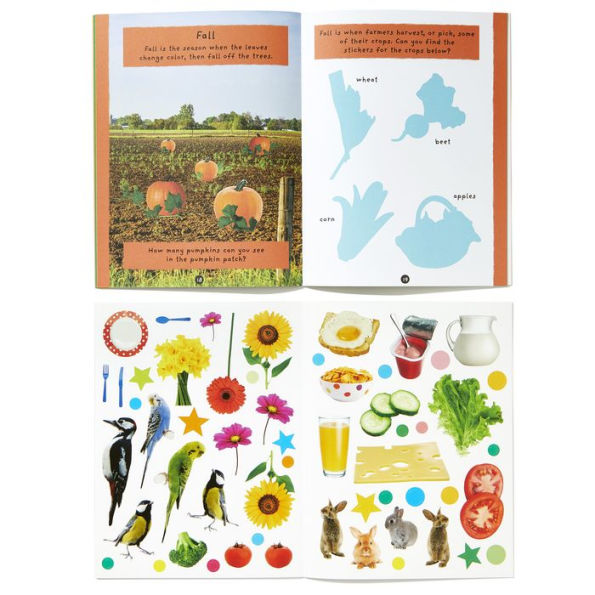 First Words and More: 4 Activity Book Boxed Set with Stickers: My Day; My World; Natural World; Things to Learn