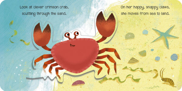 The Happy Snappy Crab