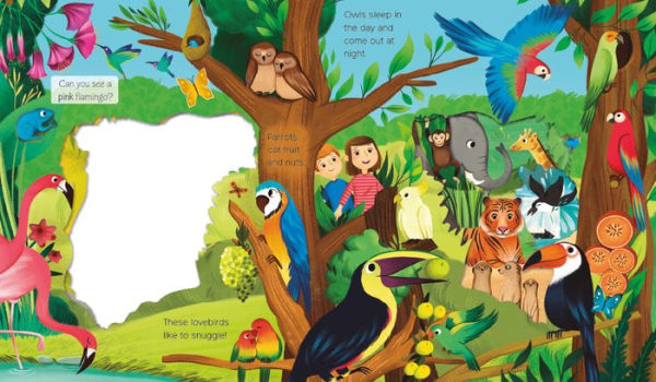 What Can You See? Animal Adventure: With Peek-Through Pages and Fun Facts!