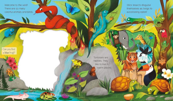What Can You See? Animal Adventure: With Peek-Through Pages and Fun Facts!