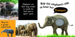 Alternative view 2 of Noisy Animals: Includes 6 Sounds and an On/Off Switch on the Back Cover!