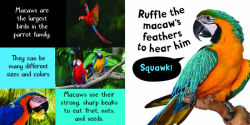 Alternative view 3 of Noisy Animals: Includes 6 Sounds and an On/Off Switch on the Back Cover!