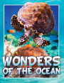 Wonders Of The Ocean: Children's Books and Bedtime Stories For Kids Ages 3-8 for Fun Loving Kids