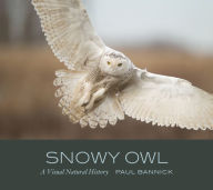 Free downloads audio books computers Snowy Owl: A Visual Natural History 9781680513158 by Paul Bannick CHM