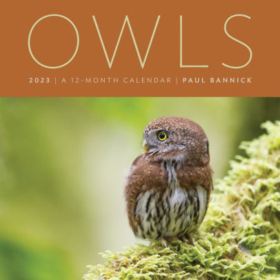 Owls 2023: A 12-Month Wall Calendar by Paul Bannick, Calendar | Barnes