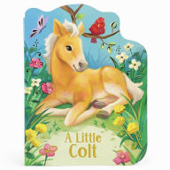 Title: A Little Colt, Author: Rosalee Wren
