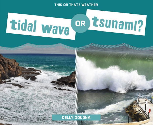 Tidal Wave or Tsunami? (PagePerfect NOOK Book)