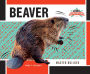 Beaver: Master Builder