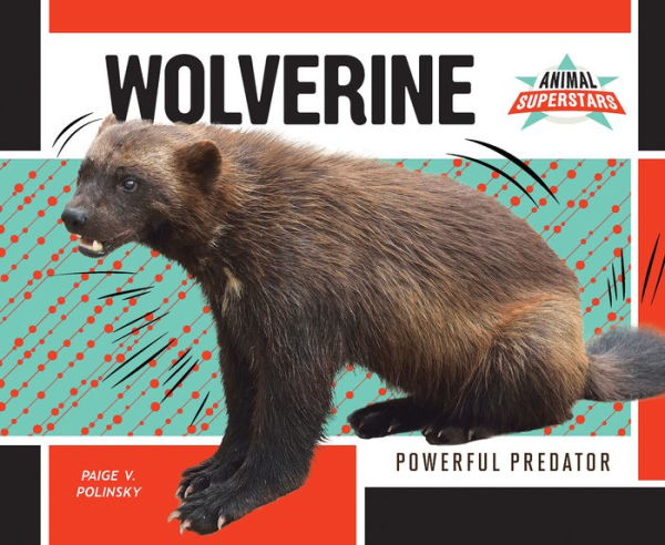 Wolverine: Powerful Predator