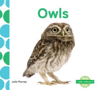 Title: Owls, Author: Julie Murray