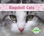 Ragdoll Cats