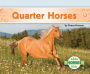 Quarter Horses