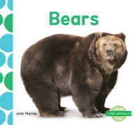 Title: Bears, Author: Julie Murray