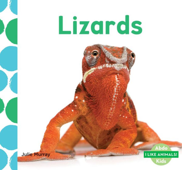 Lizards