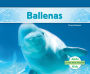 Ballenas (Whales)