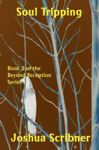 Soul Tripping: Book 2 of the Beyond Reception Series: