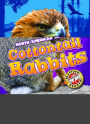 Cottontail Rabbits