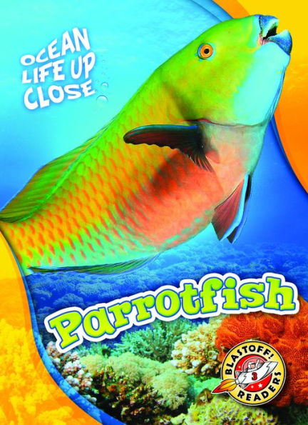 Parrotfish