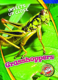 Grasshoppers