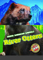 River Otters