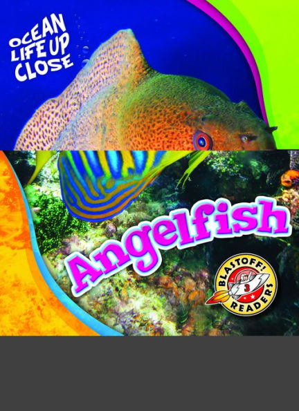 Angelfish