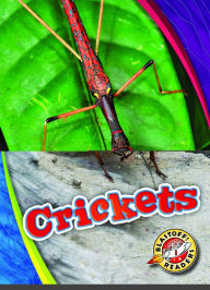 Title: Crickets, Author: Patrick Perish