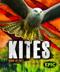 Title: Kites, Author: Nathan Sommer