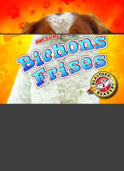 Bichons Frises