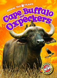 Title: Cape Buffalo and Oxpeckers, Author: Kari Schuetz