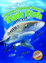 Oceanic Whitetip Sharks and Pilot Fish - Bellwether Media, Inc.