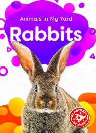 Title: Rabbits, Author: Amy McDonald