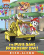 The Pups Save Friendship Day! (PAW Patrol)