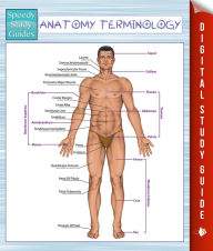 Title: Anatomy Terminology (Speedy Study Guides), Author: Speedy Publishing